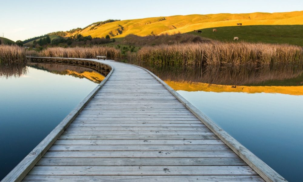 HBT-WetlandsWildlife-PekaPekaWetlands-1600x650