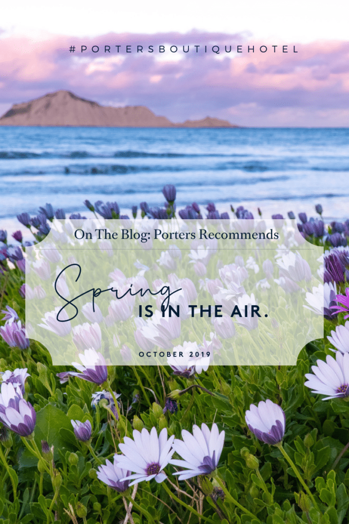Springtime in Hawke's Bay