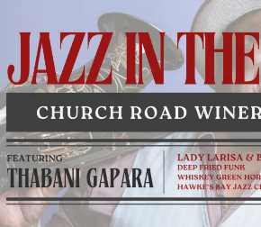Jazz in the Park at Church Road Hawke's Bay