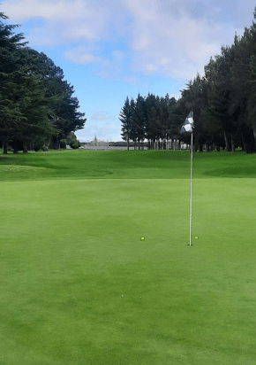 Napier Golf Club “Waiohiki”