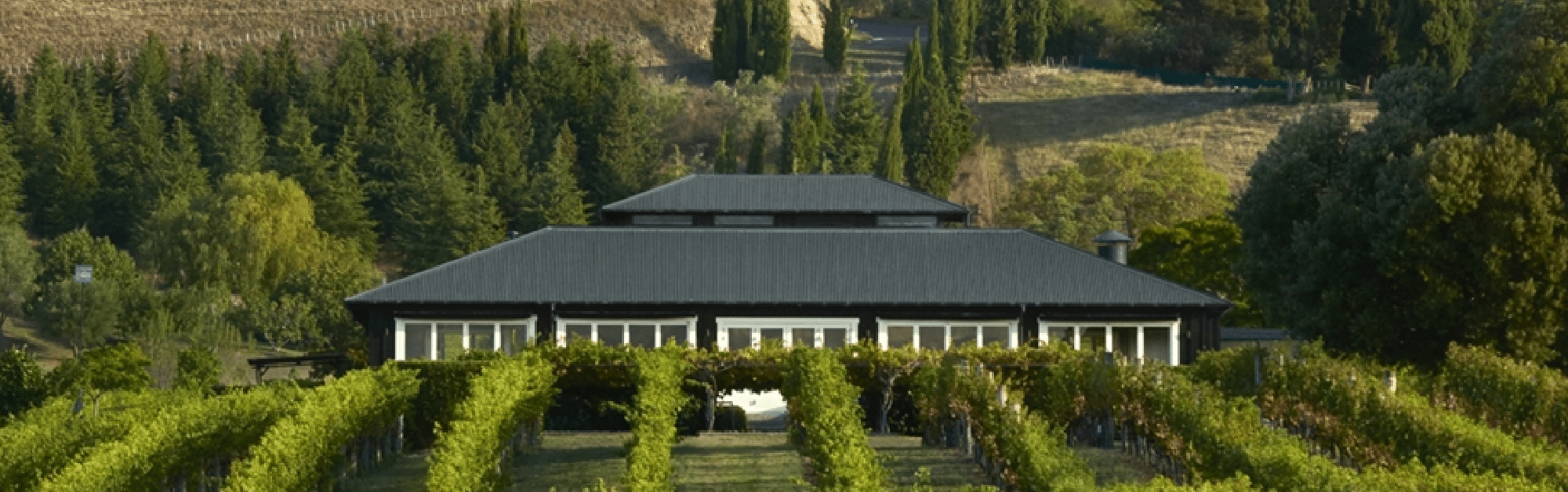 Black Barn Vineyards