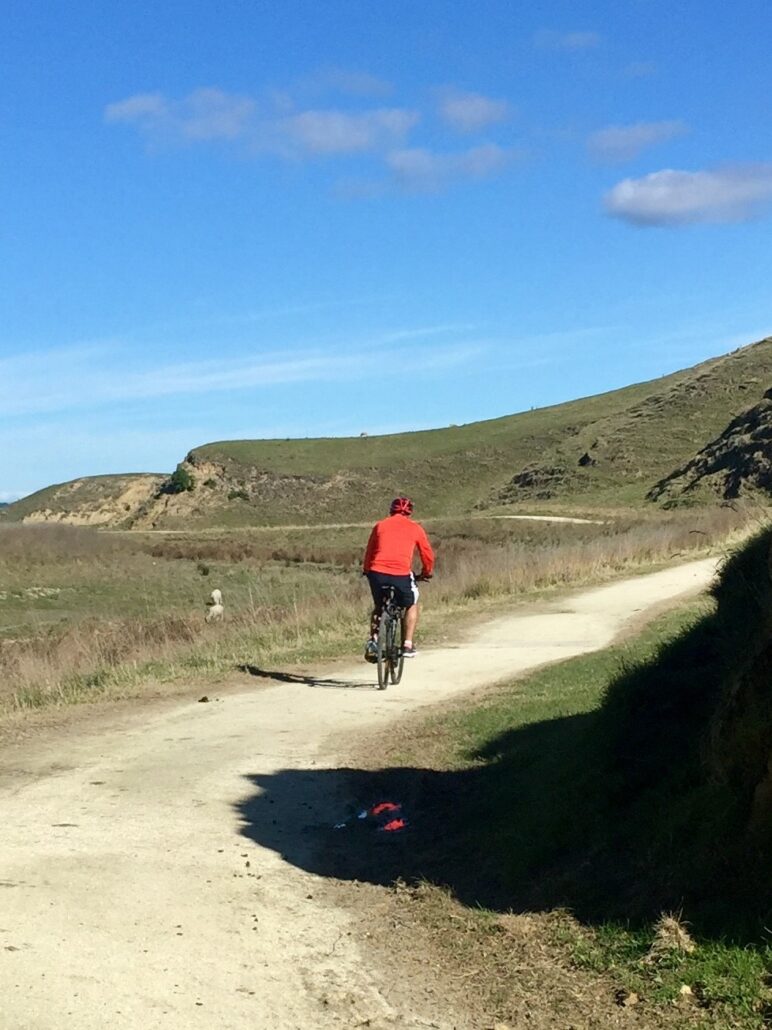 Plan Your Perfect Cycling Weekend in Hawke’s Bay