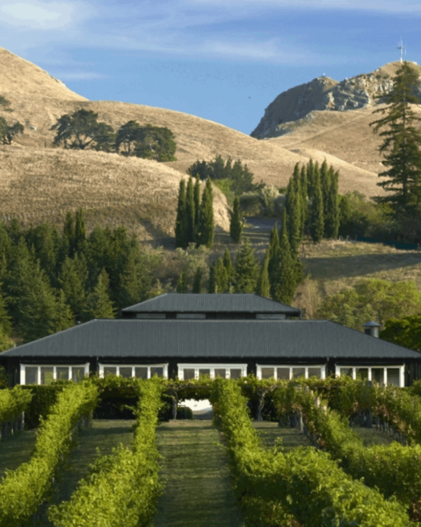 A Luxury Wine Weekend in Hawke's Bay