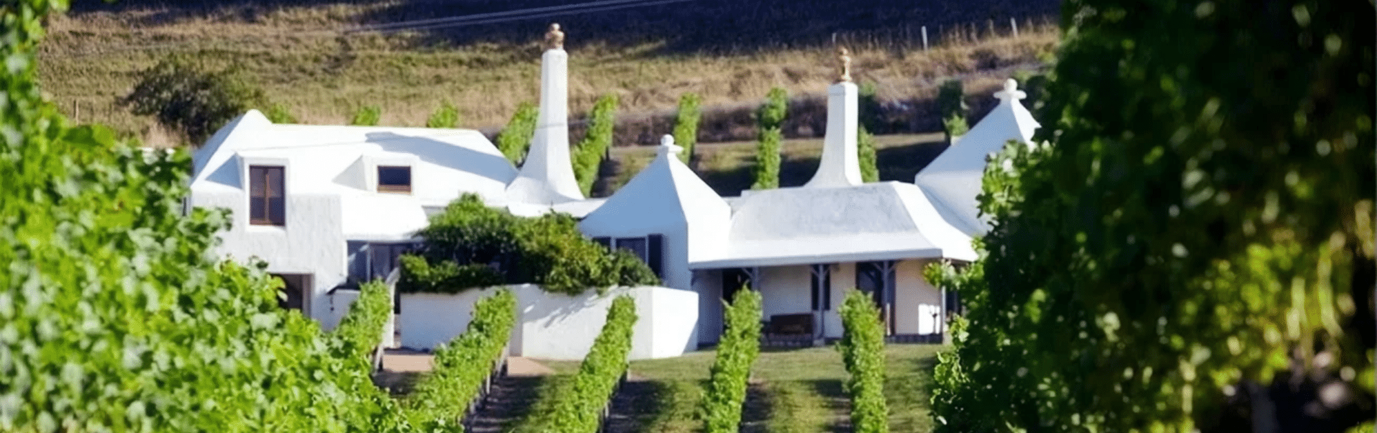Te Mata Estate